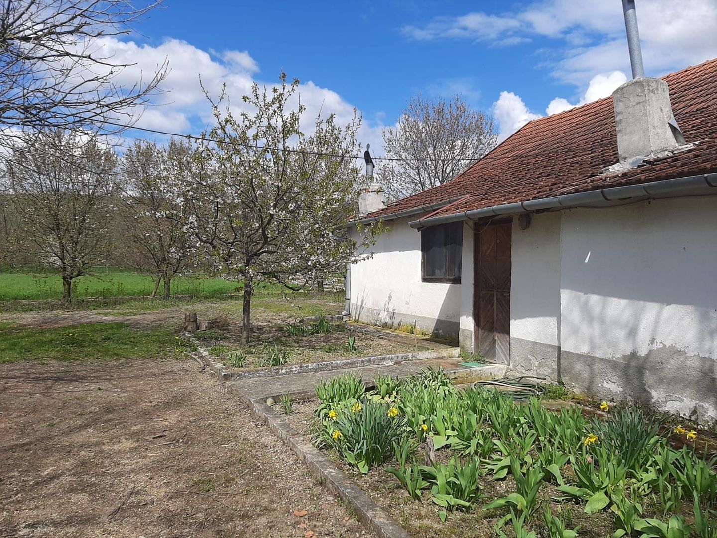 Casă cu teren generos la Bodo - Poză 6