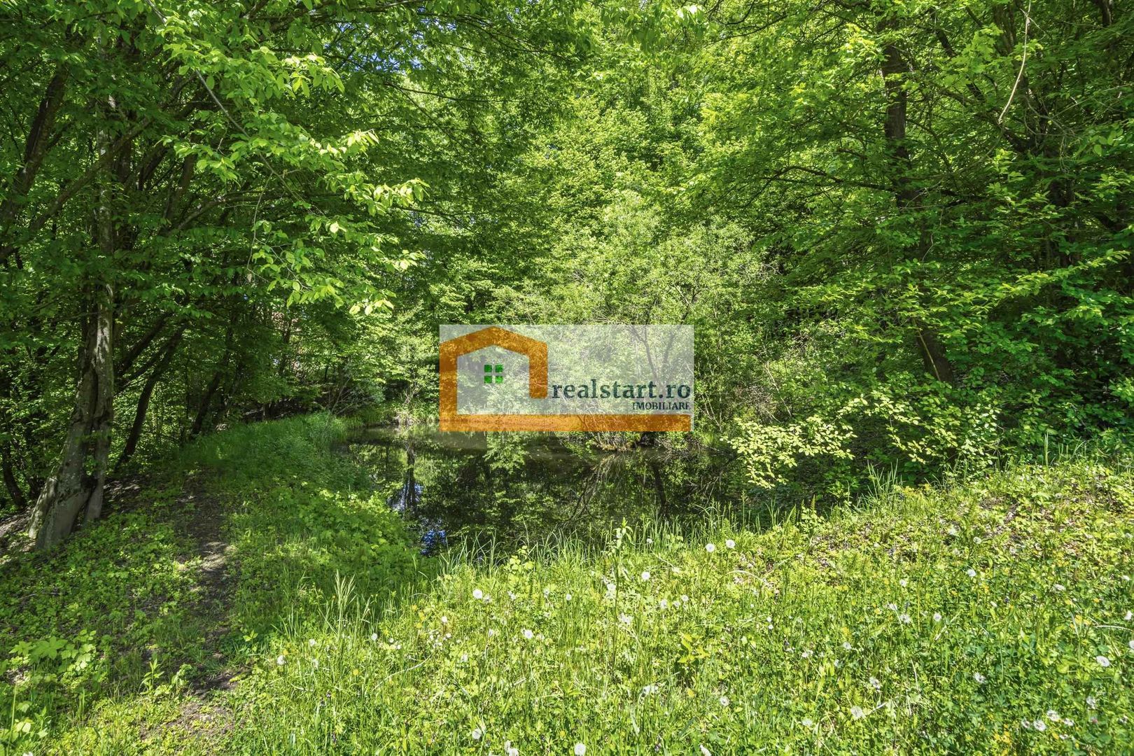 Oportunitate, Restaurant cu MiniPensiune 800mp, 1,8ha teren, Via Transilvanica - Poză 64