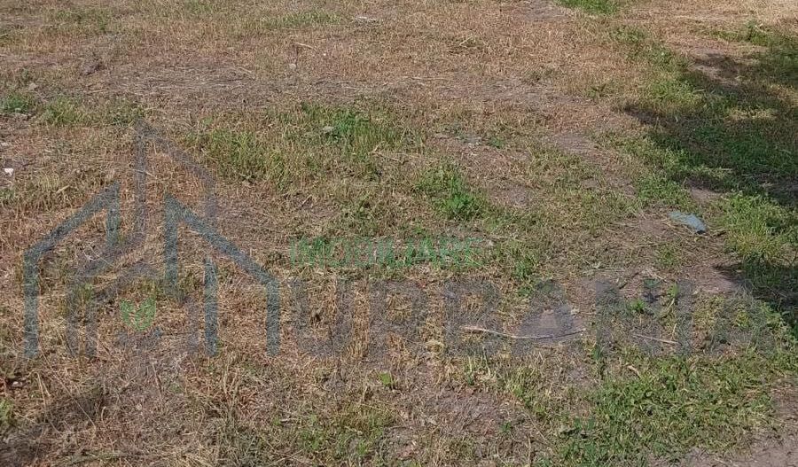 Casă de închiriat pe termen lung în Măcărești, 3 camere, curte 0.5 ha - Poză 8