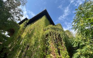 VILA INDIVIDUALA CISMIGIU | INTR. TEMISANA - Poză 22