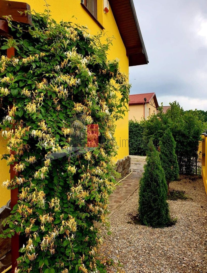 Vila superba cu gradina si panouri solare | Tancabesti - Poză 3