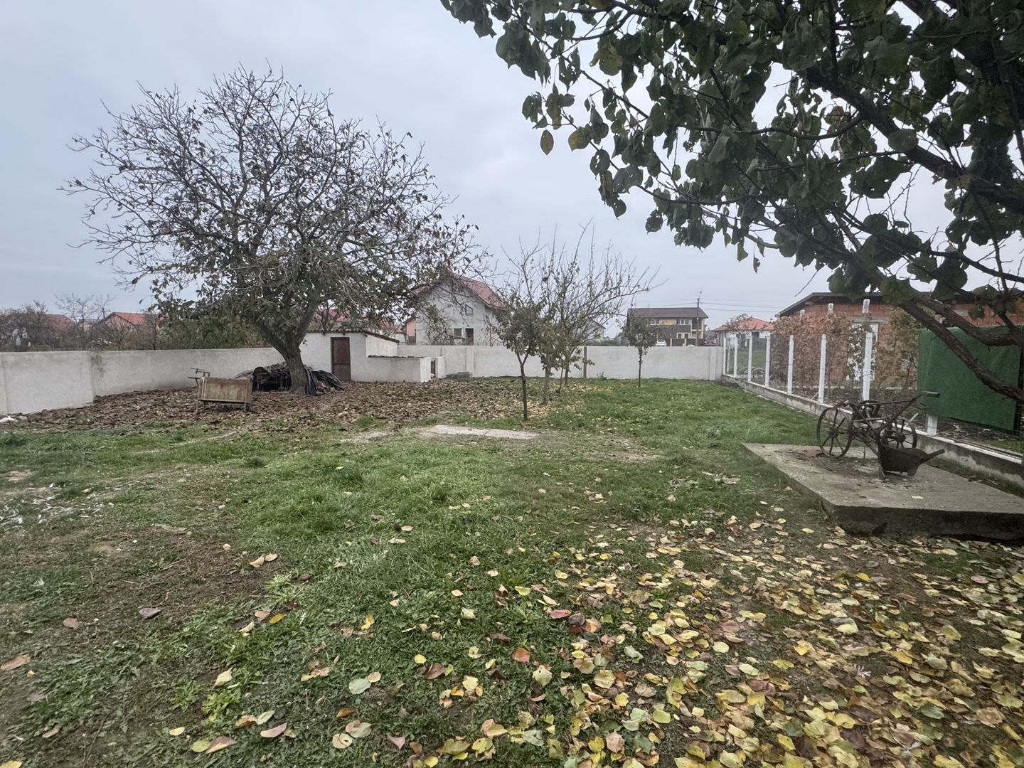 Casa Renovata Parter Becicherecu Mic,Vatra Veche,Teren Generos - Poză 4