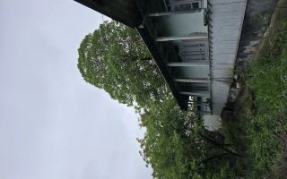 Casă tradițională 80 mp și teren intravilan 1829 mp, vedere spre pădure, Totoești, Erbiceni, Județ Iași - Poză 3