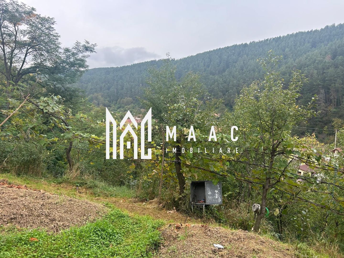 Casa Individuala I 2 Camere I Rasinari - Poză 11