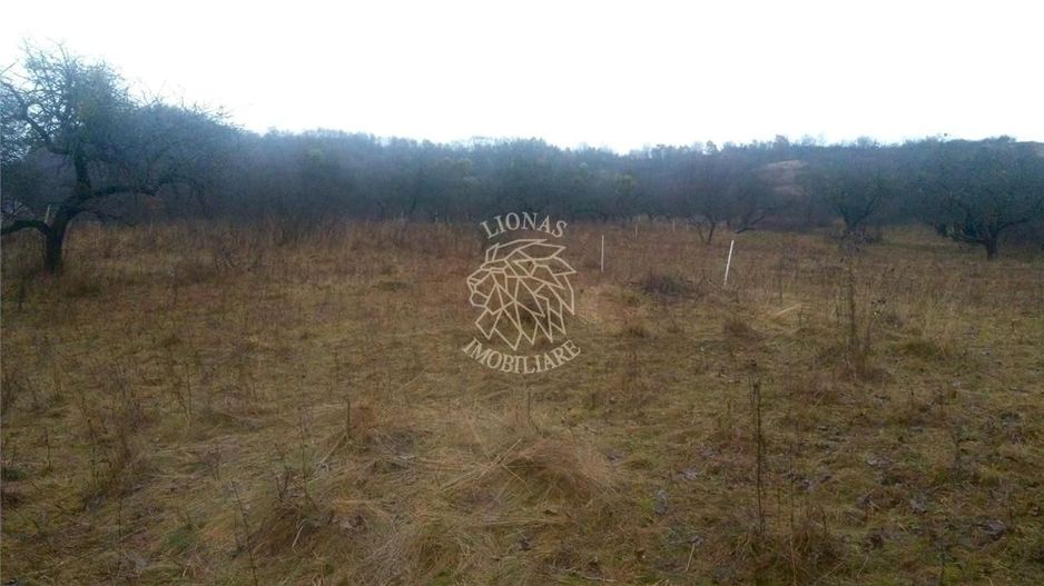 Teren 1300 mp limita cu intravilanul-ideal investitie/cabana-Unirea - Poză 2