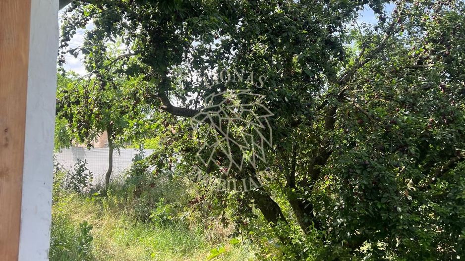 Casă ecologică 113 mp utili cu utilitati  + Teren 3100 mp, Balda, județul Mures - Poză 19