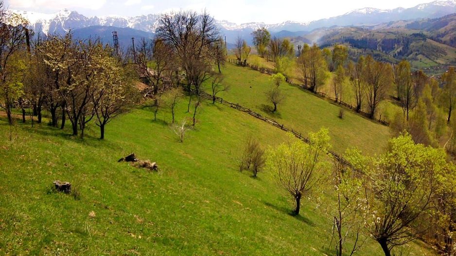 teren intravilan in zona Magura Bran - Poză 12