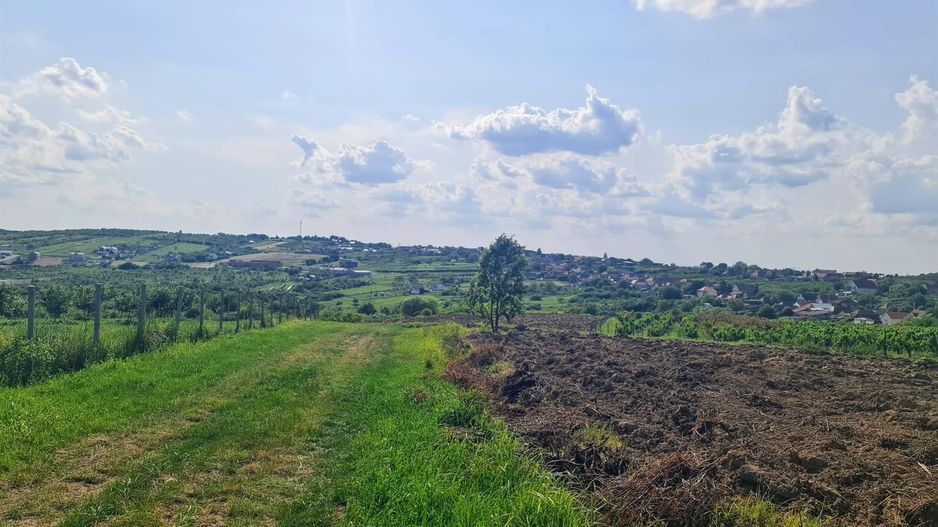 Teren intravilan Saldabagiu de Munte 1100m - Poză 5