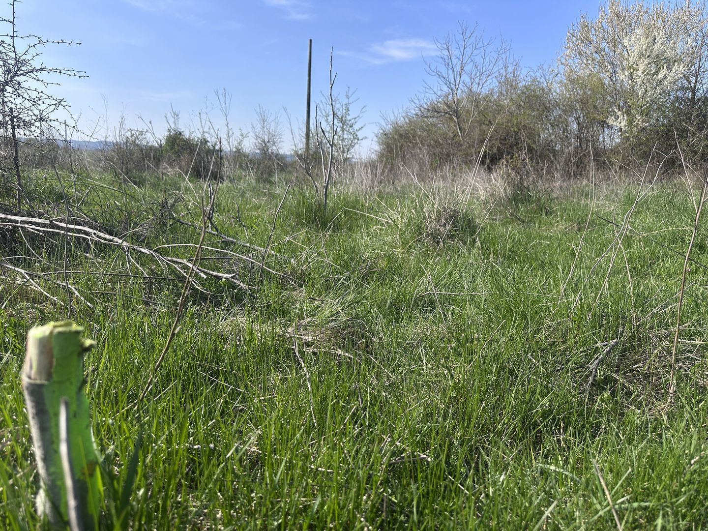Teren de vânzare – Aninoasa, zonă Solarino (peste calea ferată) - Poză 2