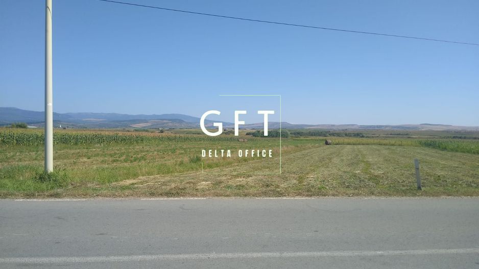 Teren 20000 mp - parcelabil - oportunitate investitie - Jelna - Poză 3