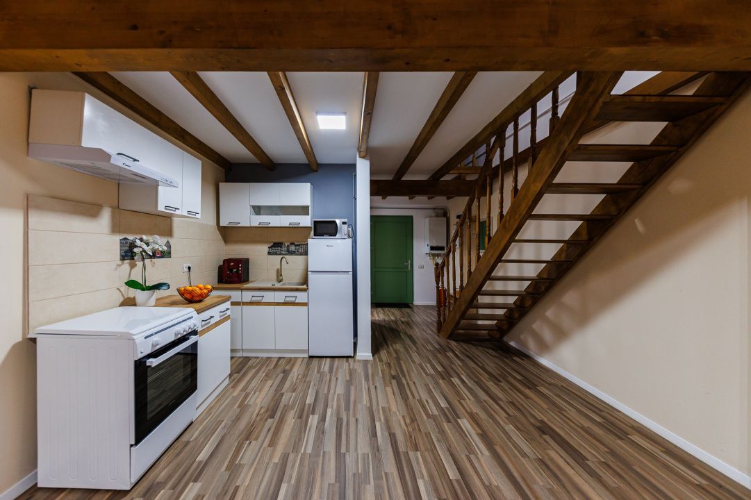 Apartament 2 camere elegant – Piata Unirii Timisoara - Comision 0 - Poză 14