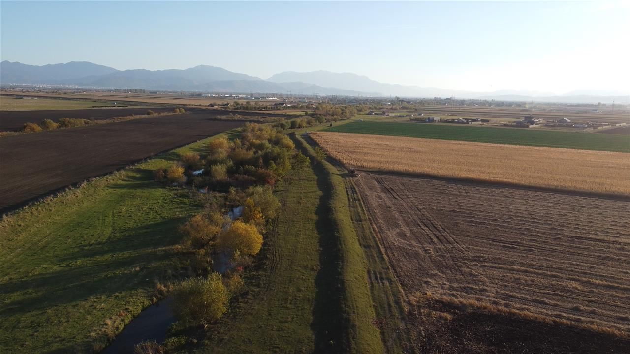 Halchiu Brasov, 80.000 mp teren extravilan - agricol - Poză 2