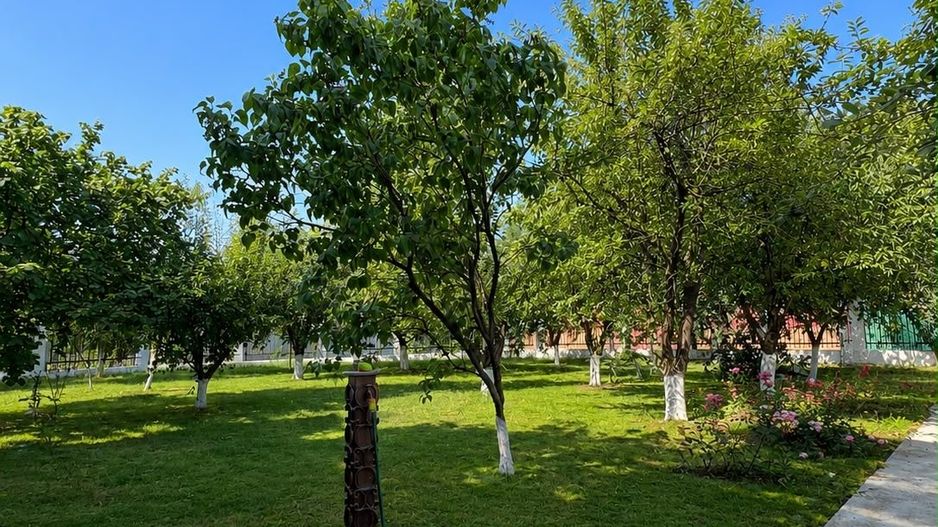 Vilă individuală P+1+Pod cu garaj și teren generos de 1.130 mp – Otopeni - Poză 2