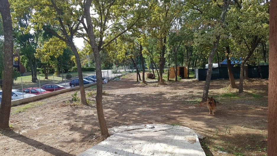 Pensiune deosebită de vânzare în Neptun – la doar 5 minute de plajă! - Poză 7