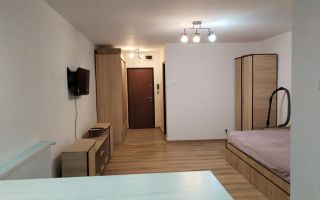 Garsoniera spatioasa, Bulevardul Timisoara - Poză 2