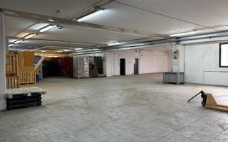 Sapient | Hală situata în com. Borș - Poză 7