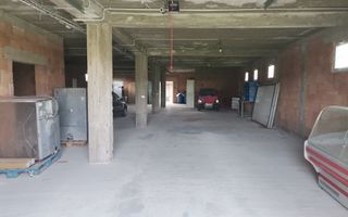 Inchiriere hala depozitare si teren, Labusesti - Poză 10