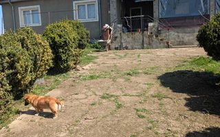 Casa de vanzare in Românești, Iasi - Poză 1