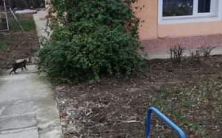 Casa de vânzare cu teren - Poză 3