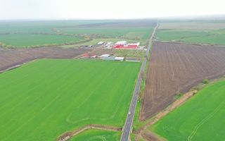 Teren industrial Dudestii Noi - Poză 4