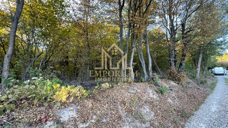Teren Extravilan, Ciurila, Padurea Faget - Poză 2