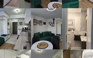 Garsoniera moderna mobilata si utilata complet parter zona Lazaret - Poză 9