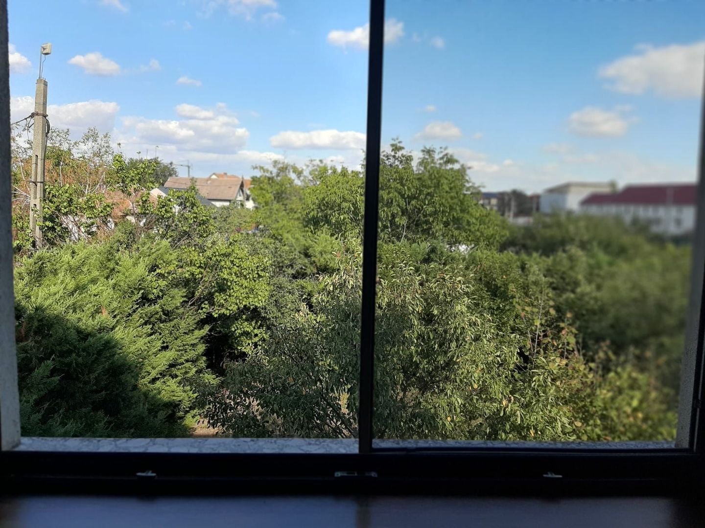 Casa individuala Timisoara/ Mehala - Poză 21