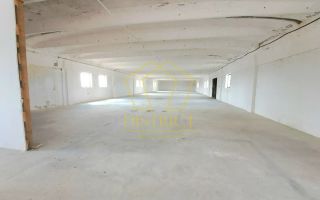 Hala de depozitare sau productie | Șagului | Steaua - Poză 1