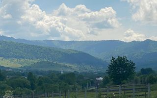 Teren 6500 mp-Lac-vedere panoramica-ideal cabana-Cusma - Poză 7