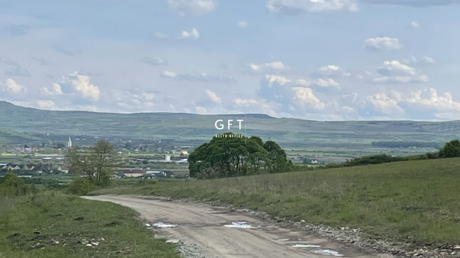 Teren extravilan 10000 mp, Jelna. - Poză 11