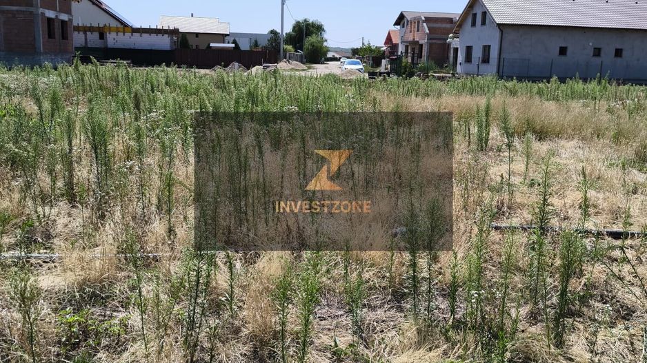 Teren intravilan Biharia 11058 mp - Poză 5