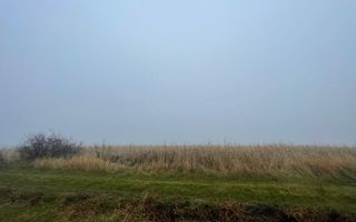 TEREN EXTRAVILAN | DOUA PARCELE 2.84 HA| IDEAL AGRICOL | DARMANESTI - Poză 10