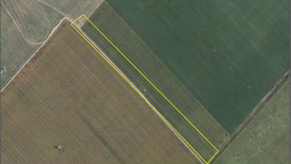 Teren de vânzare – 25.000 mp, Pantelimon, între cele două centuri ale Capitalei - Poză 1