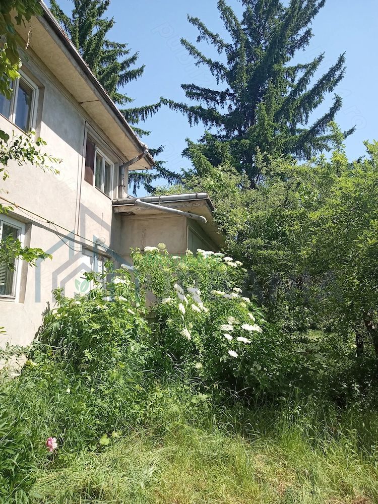 Teren intravilan 11.000 mp și casă 200 mp – Târgu Frumos - Poză 2
