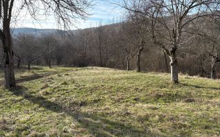 Teren de vânzare, 7750 mp I Orientare sudică I Caineni - Poză 5