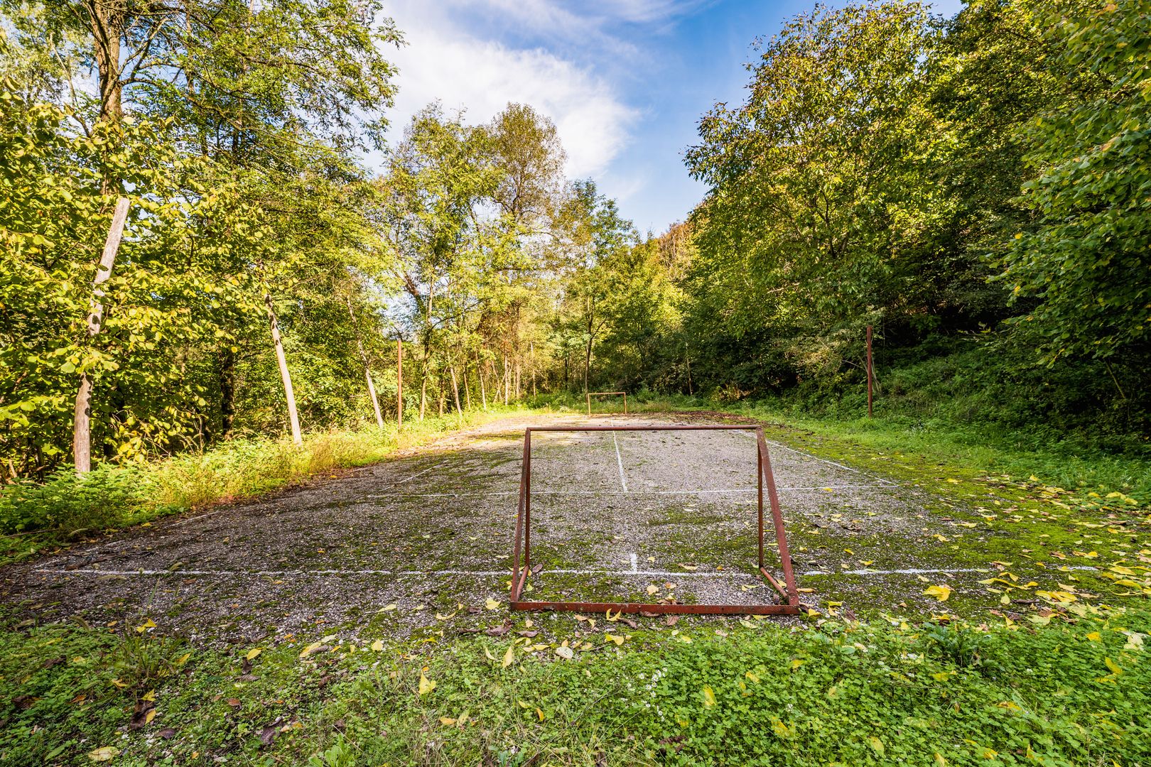 Domeniu în satul Căprioara - Poză 31