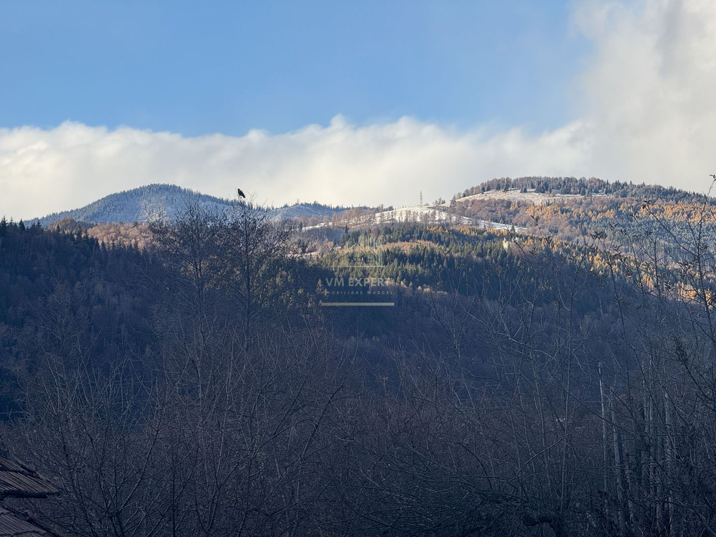 VILA 4 CAMERE, LERESTI, TEREN 3489 MP COMISION 0% CUMPARATOR - Poză 59