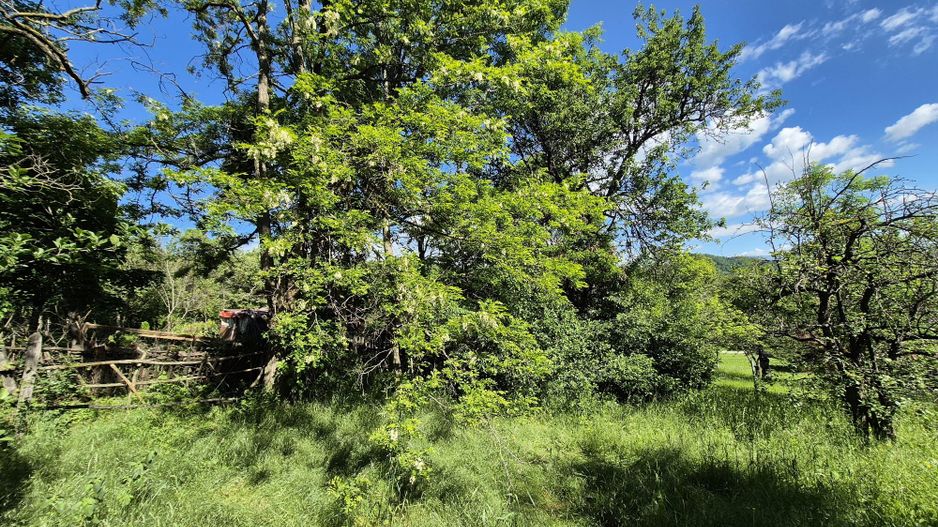 Teren intravilan 1290 mp Plaiu-Provita de Sus - Poză 18