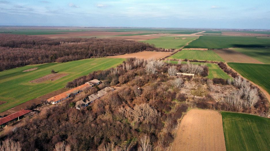 Ferma si livada de meri in judetul Ilfov - Poză 17