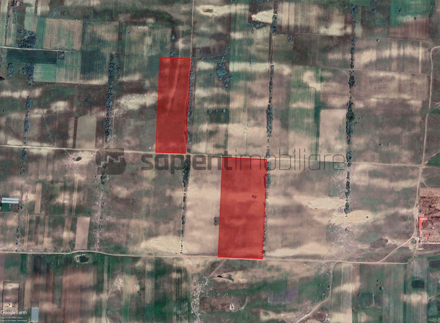 Sapient | Teren agricol _ loc. Desa, jud. Dolj - Poză 1