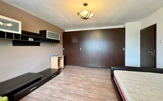 Apartament cu 1 cameră – spațios, confortabil, Fabric - Piața Traian - Poză 3