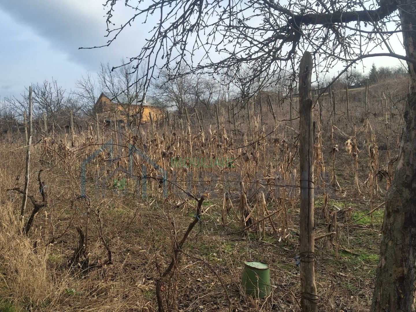 Casă de vânzare în satul Perieni, comuna Probota, cu grădină - Poză 2
