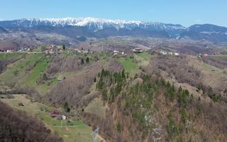 Teren Drumul Carului, Moieciu Suprafață: 29.595 mp | Intravilan - Poză 9