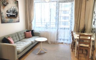 Garsoniera Aleea Privighetorilor - ZOO - Ambasada SUA - Poză 6