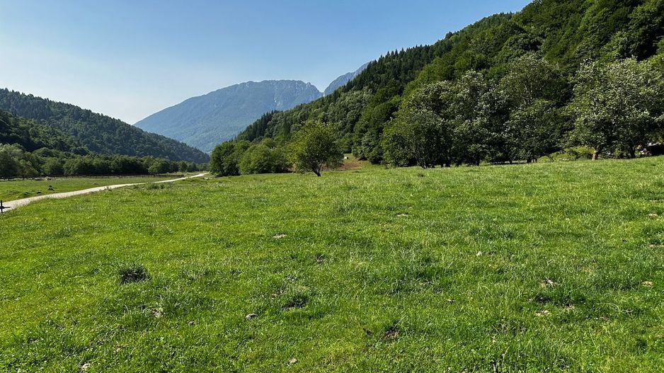 2 Loturi a 2124+2744mp Barsa Fierului / Plaiul Foii - Poză 9