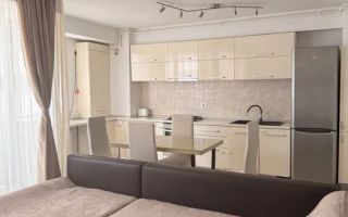 Apartament 2 camere , mobilat/utilat - zona Carpaților /Alphaville - Poză 6