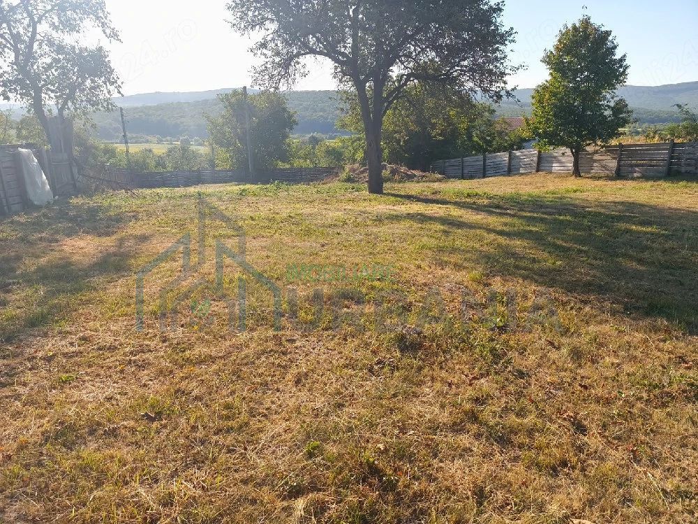proprietar, vand teren intravilan in ciurea - Poză 4