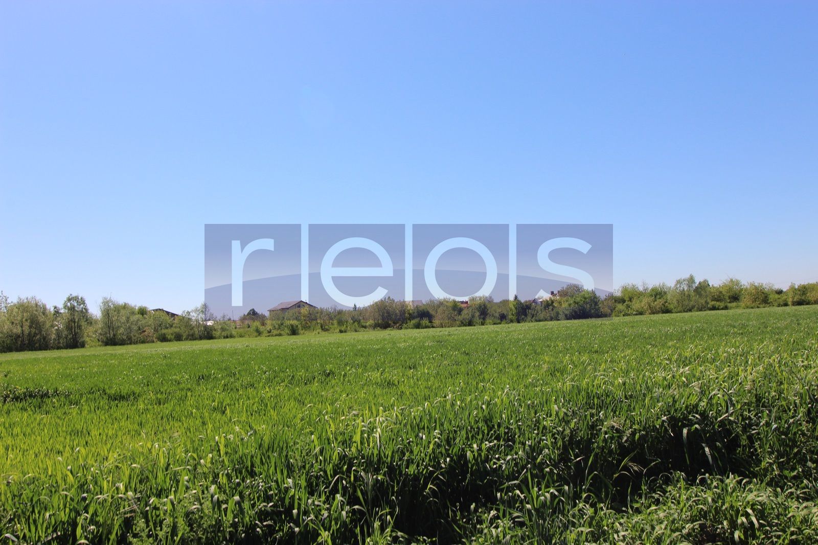 Teren 32000 mp Racari deschidere 82 mp - Poză 2