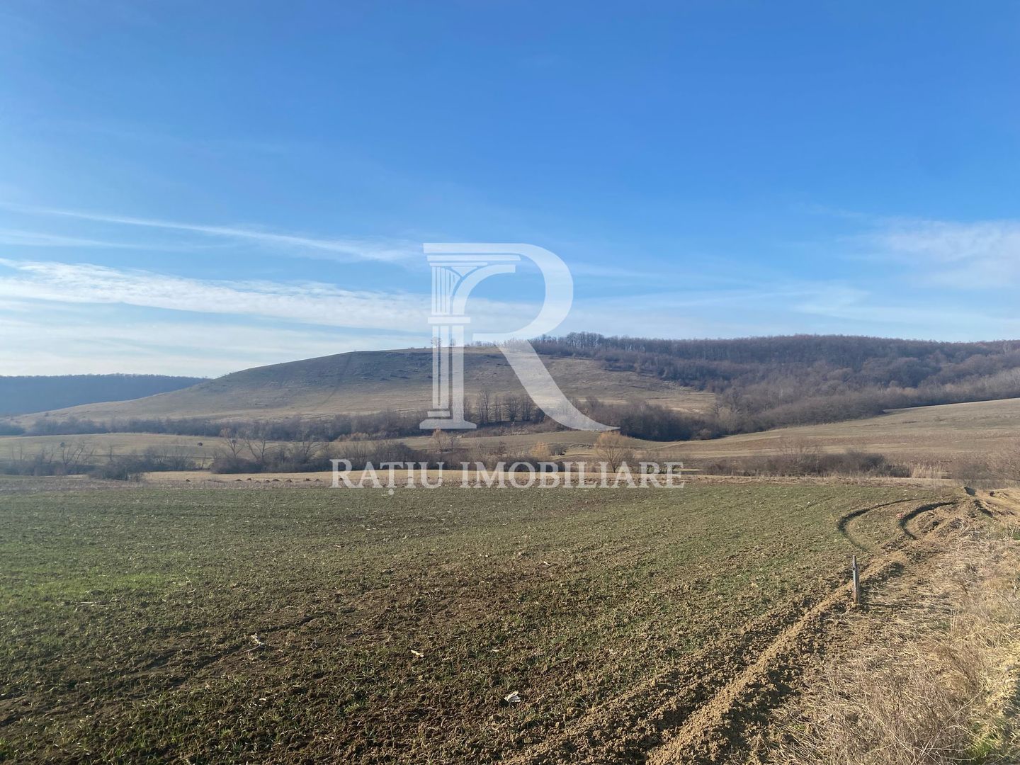 Teren extravilan de vanzare 3.900mp | Mierlau | Bihor - Poză 1