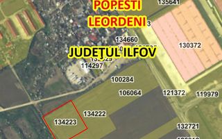 Teren intravilan 10,000mp Popesti-Leordeni intre centura Buc si A0 - Poză 3